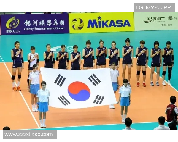 南京排球队技术分析与发展策略探讨聚焦排球运动的未来与挑战